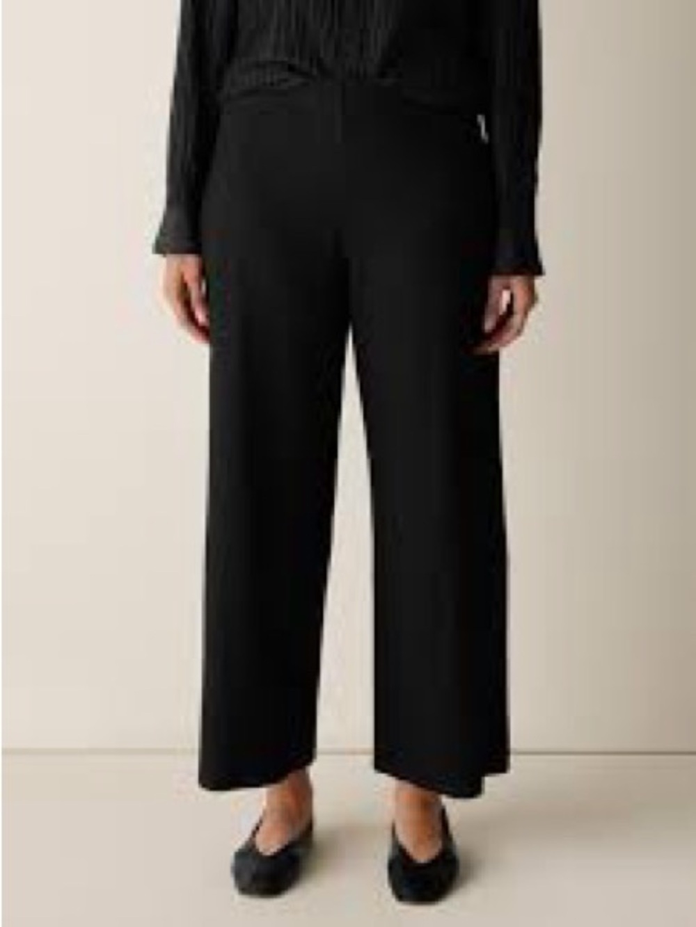 Eileen Fisher Black Wide-Leg Trousers with pockets on both sides Size XL